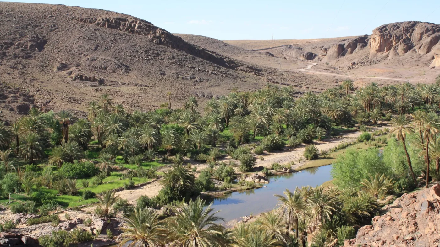 Oasis Fint Ouarzazate : Une Évasion Paisible au Cœur de la Beauté Naturelle du Maroc