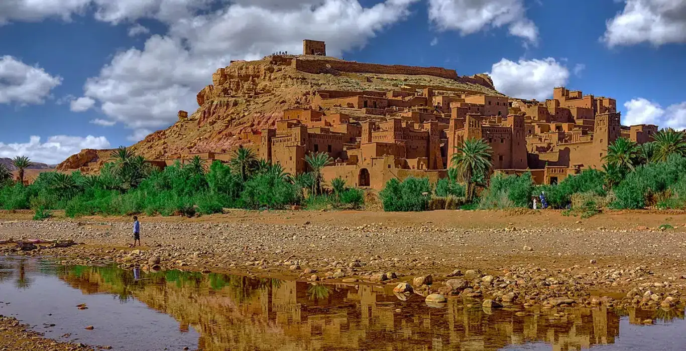 810_9762_-_copie_copy (1)