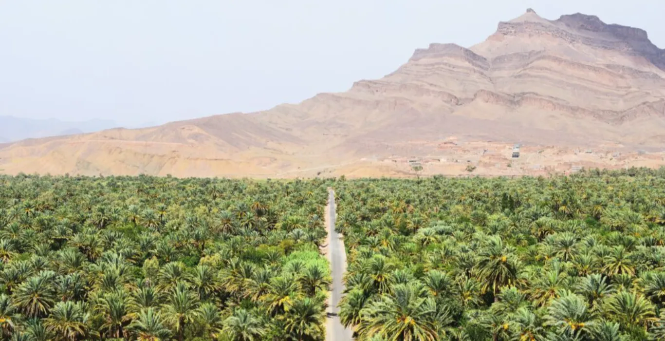 ZAGORA-DESERT-1024×683