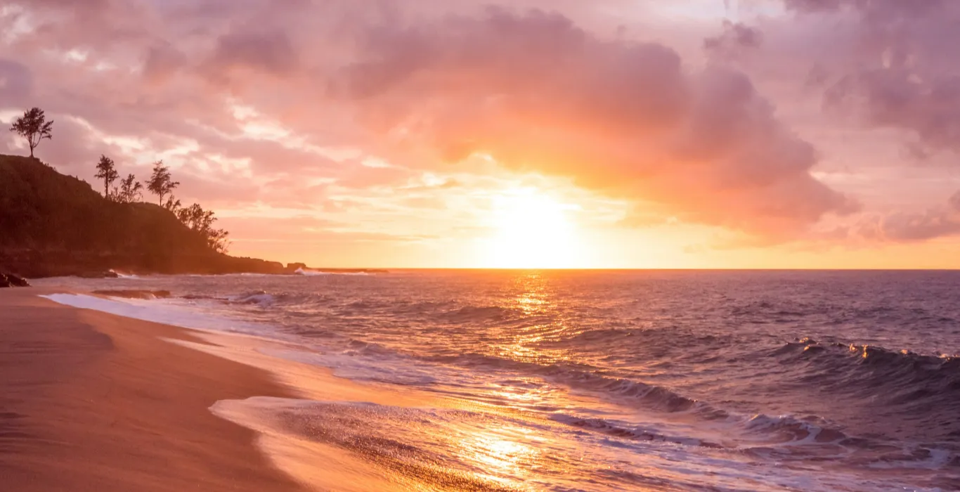 cristofer-maximilian-uQDRDqpYJHI-unsplash