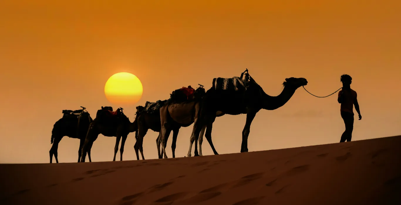 mehdi-el-marouazi-nqqH7np9JGk-unsplash