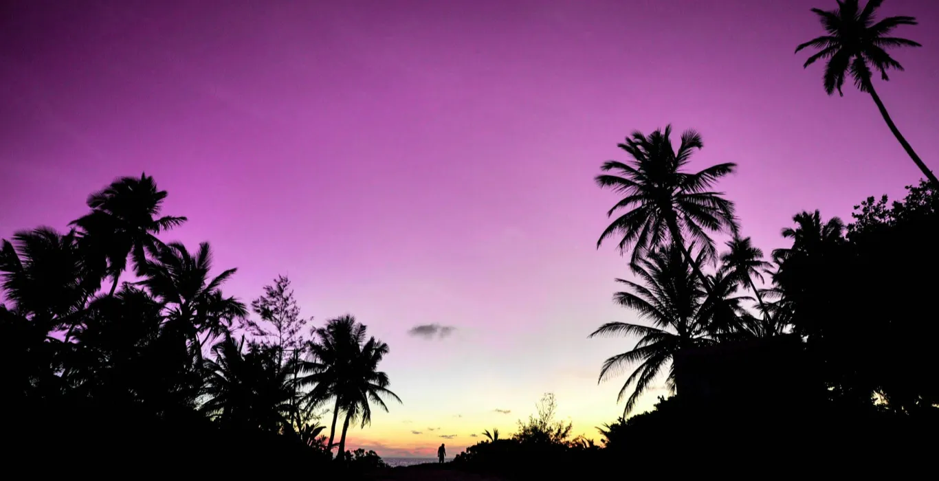 pexels-asadphoto-240514