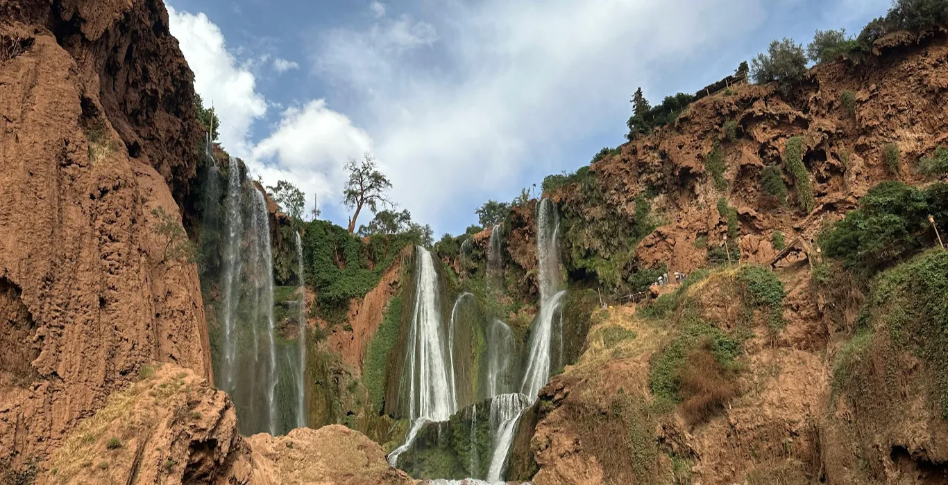 pexels-el-habib-el-aabbassi-2158846660-35669932