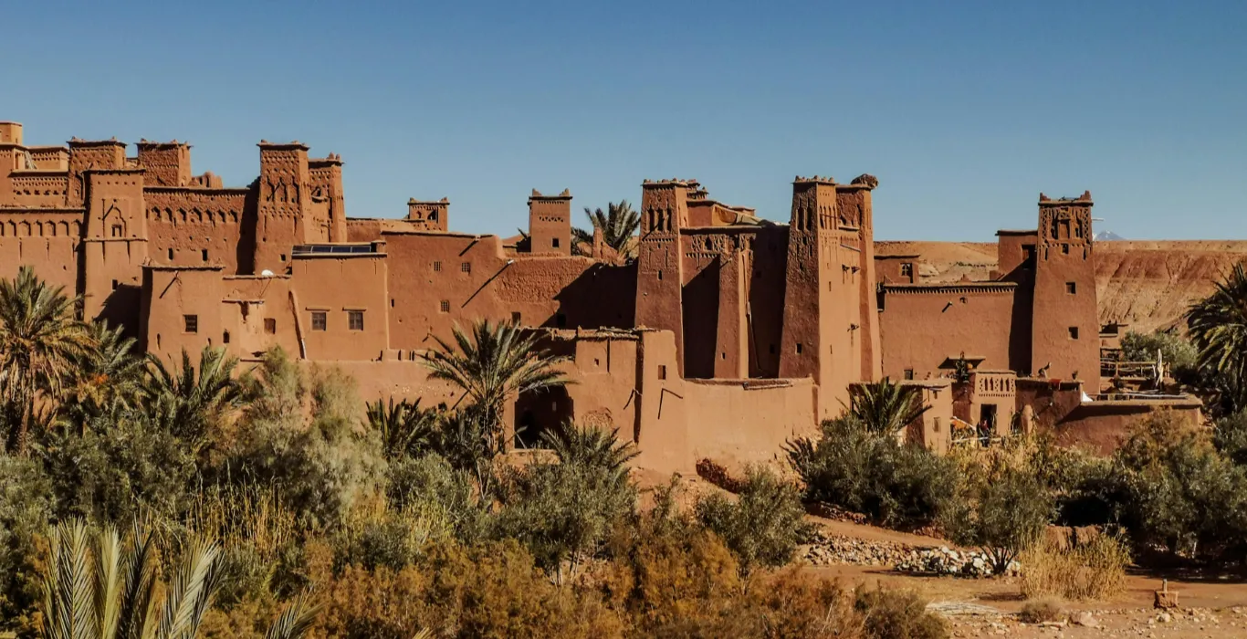 pexels-henrik-le-botos-1588507-3878114