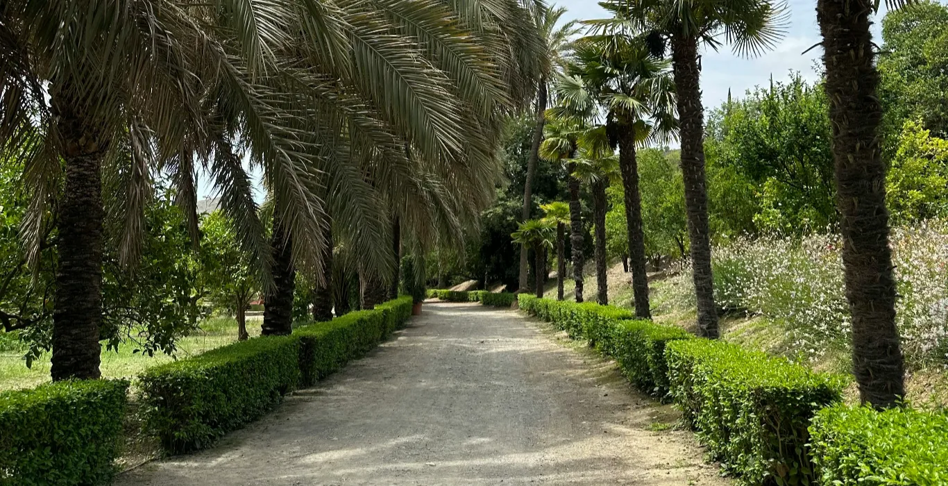 pexels-janis-zv-337113291-17130649