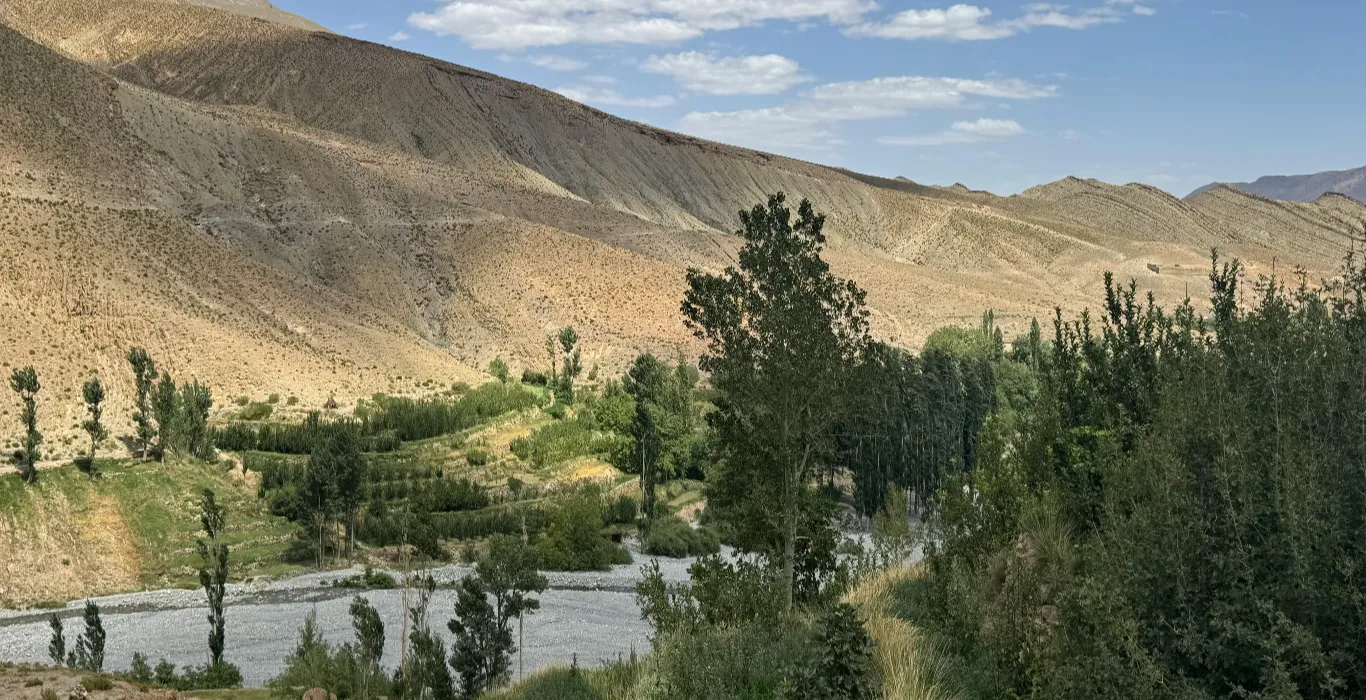 pexels-medkhettouch-33898633