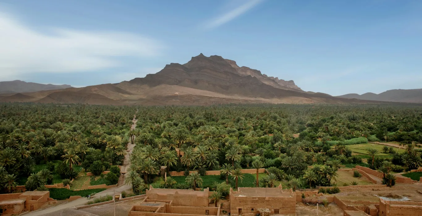 pexels-mographe-29638614