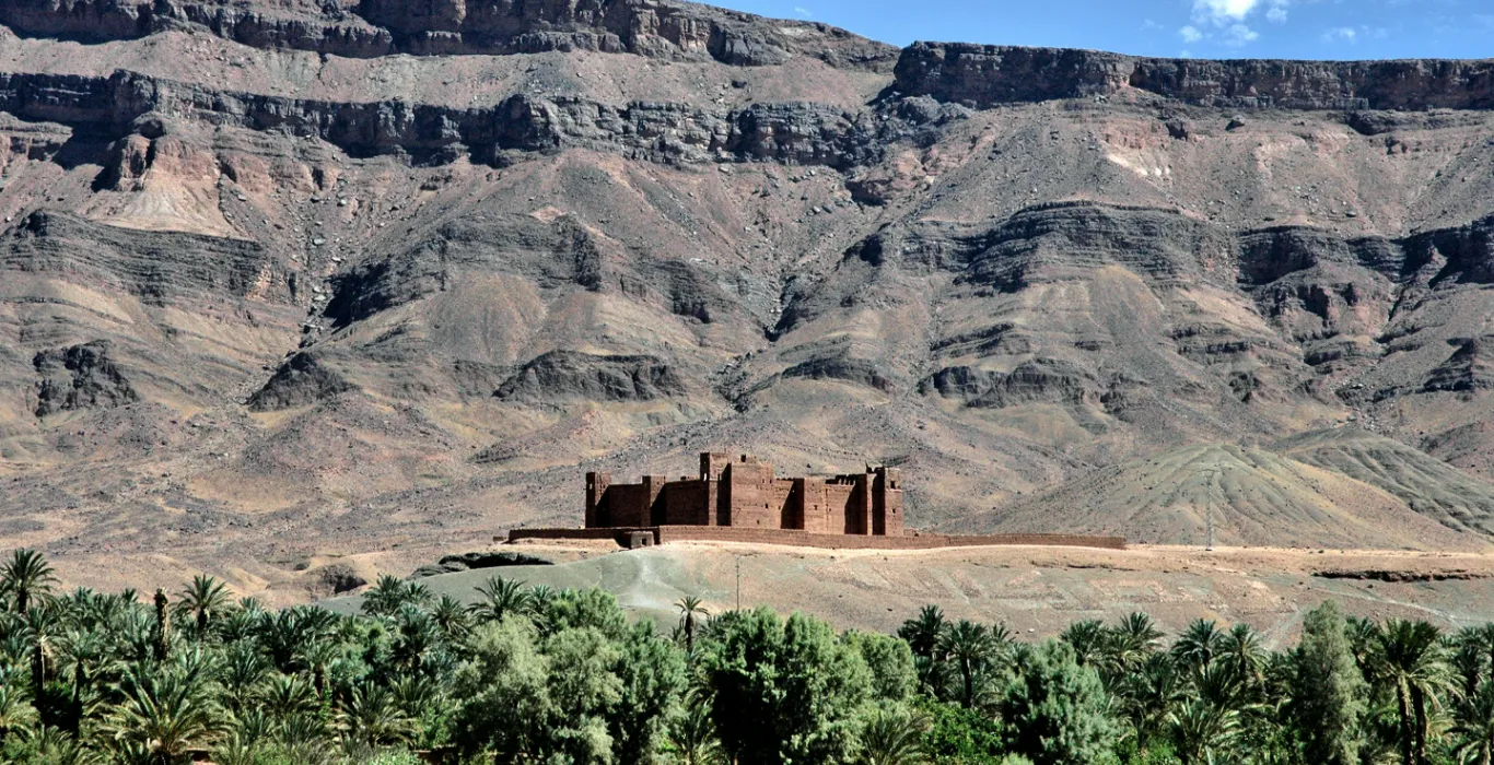 pexels-mographe-30250253