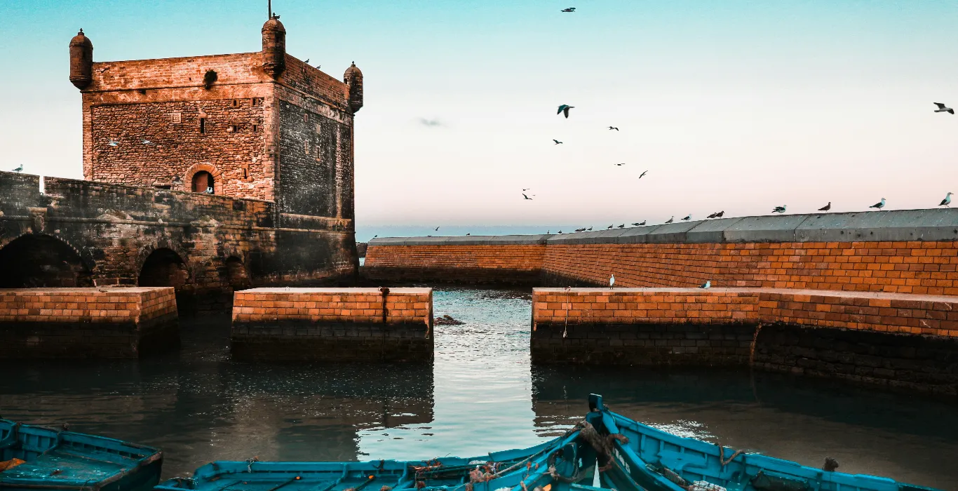 rigel-No_Y3bn4lNQ-unsplash