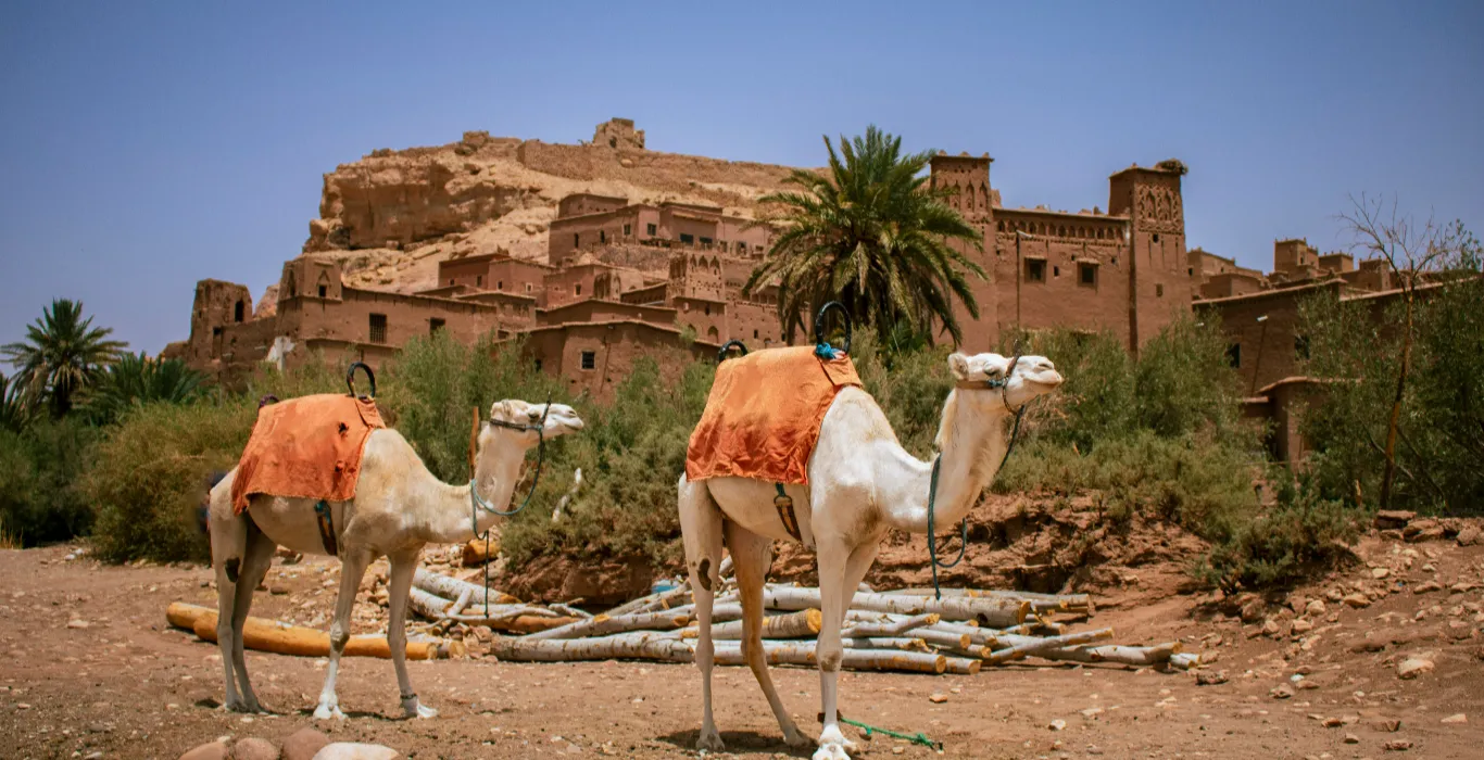 sebastiano-corti-hFHt6MtHn84-unsplash