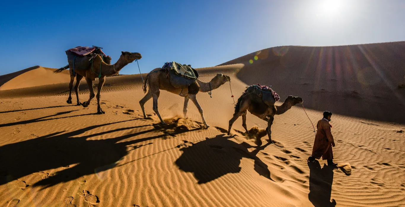 sergey-pesterev-dnLmApcmNHg-unsplash