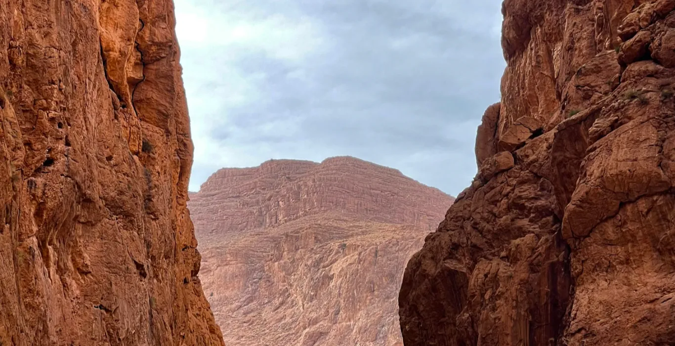 siem-FV78j3B4TfU-unsplash