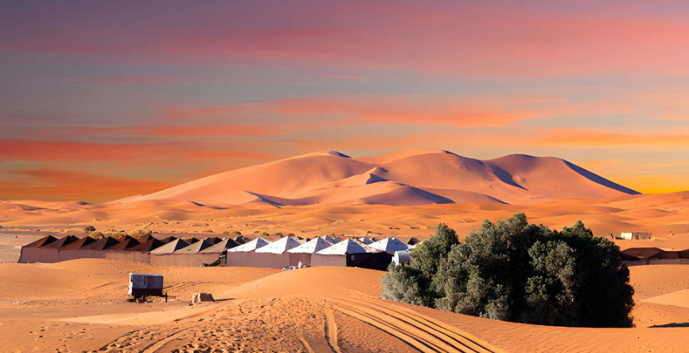 steptodown.com102613