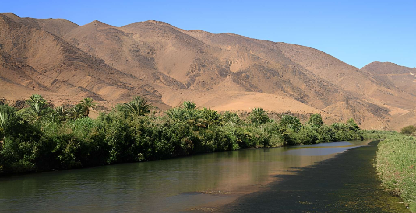 steptodown.com105577