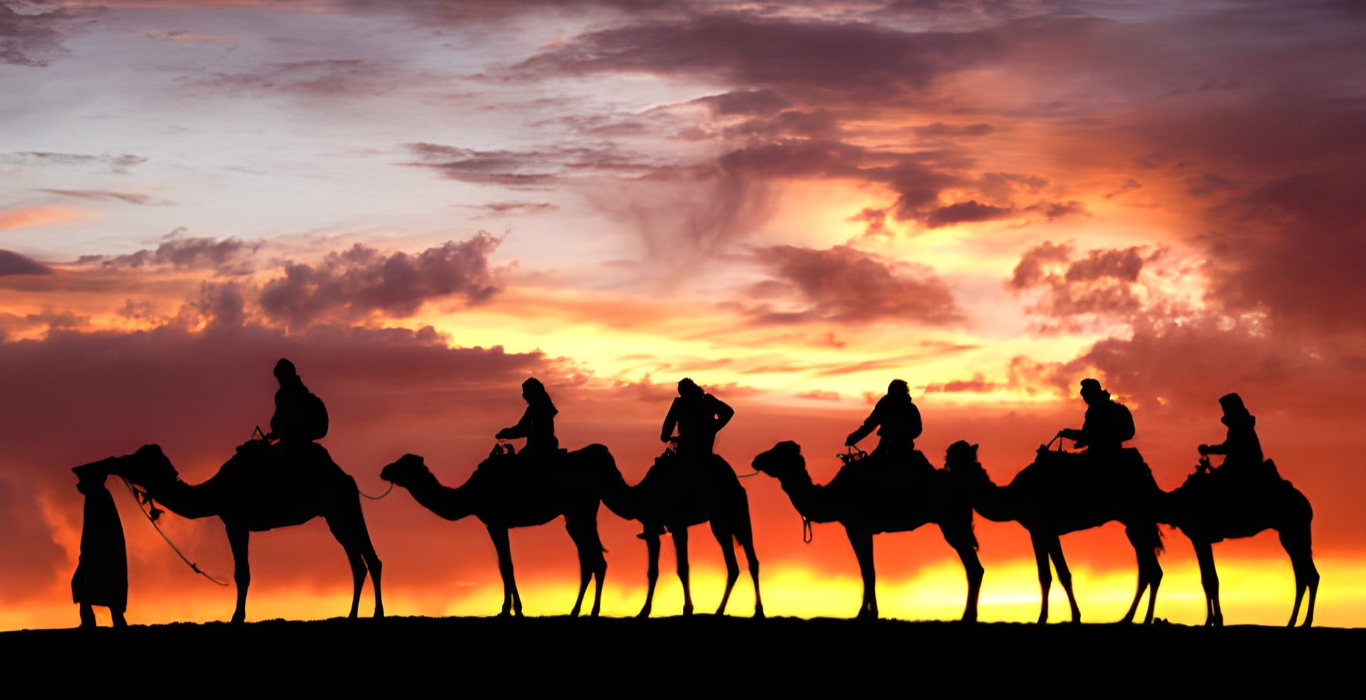 steptodown.com129008