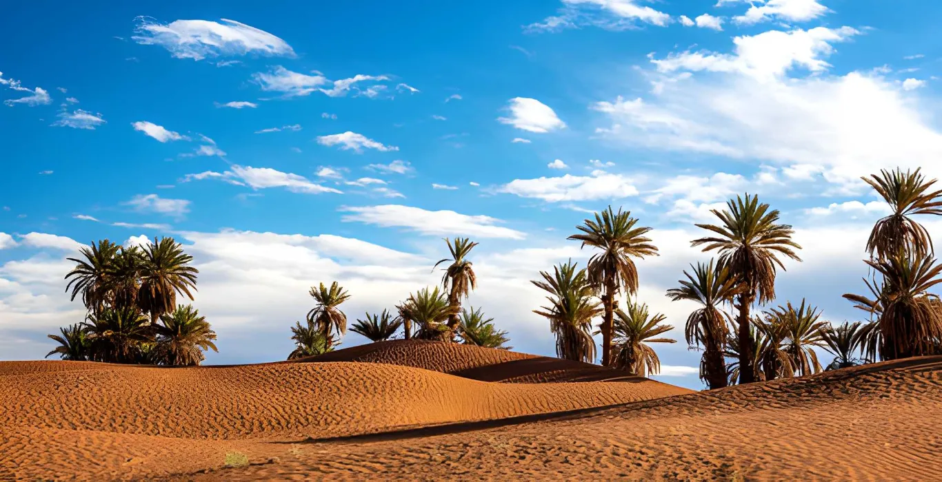 steptodown.com236041 (2)