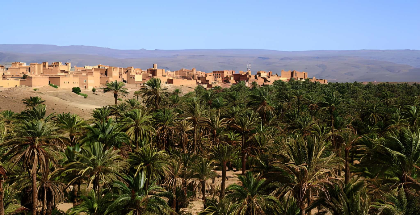 steptodown.com255332