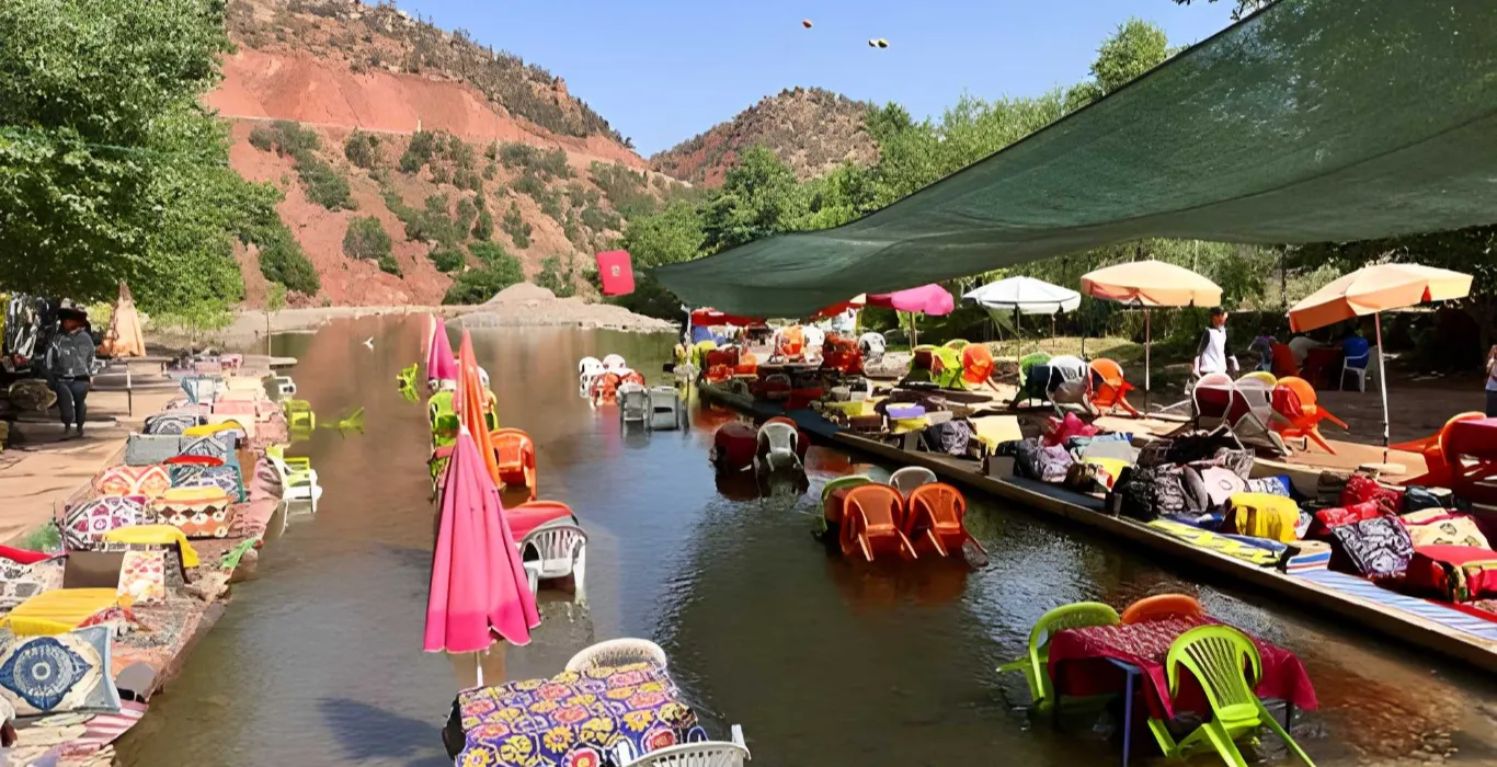 steptodown.com274555