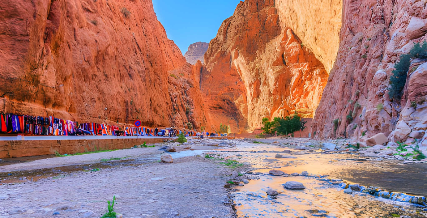 steptodown.com375572