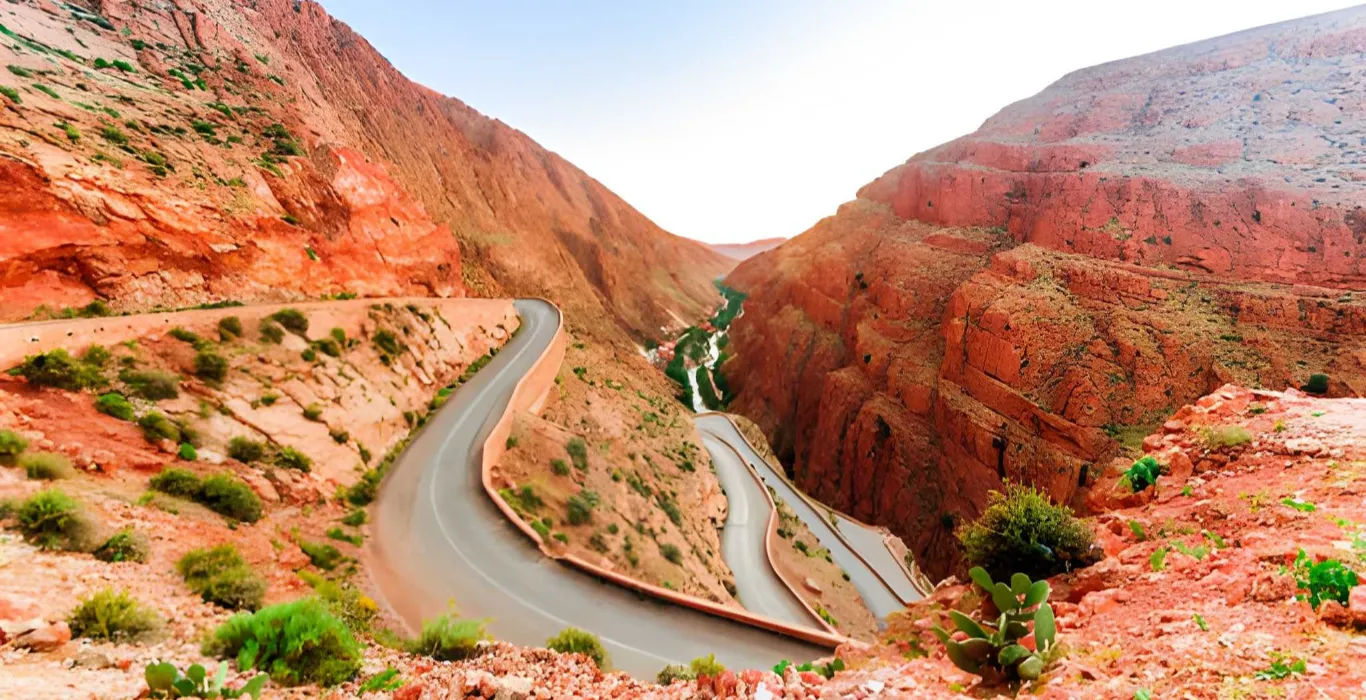 steptodown.com381773