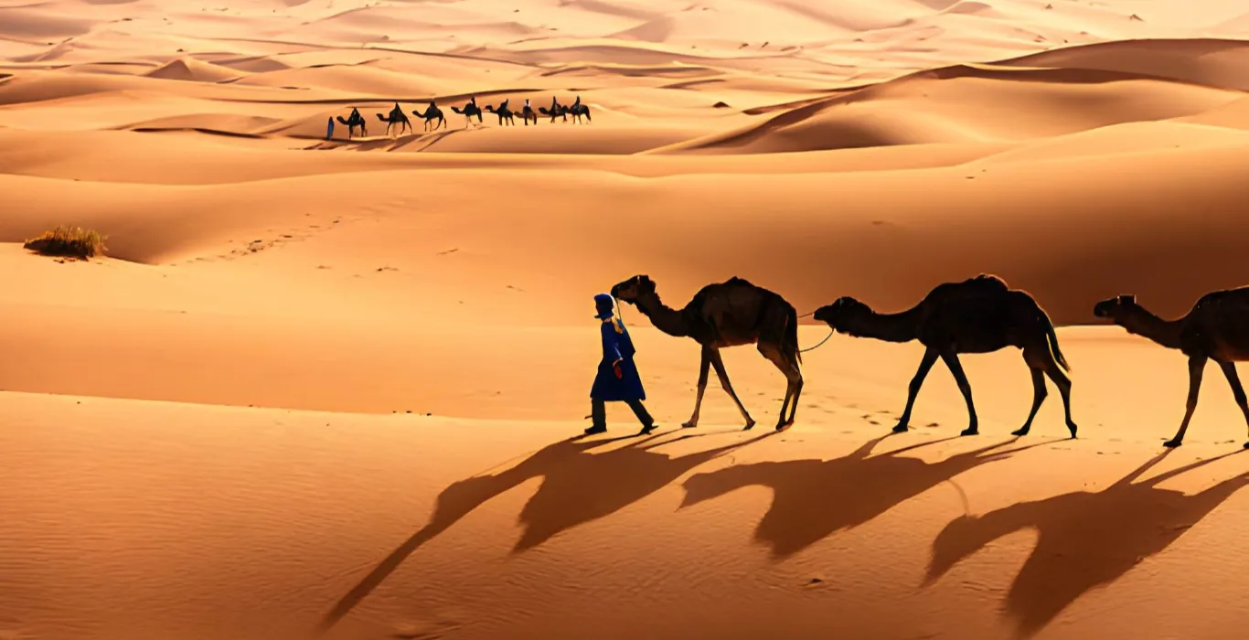 steptodown.com511988 (1)