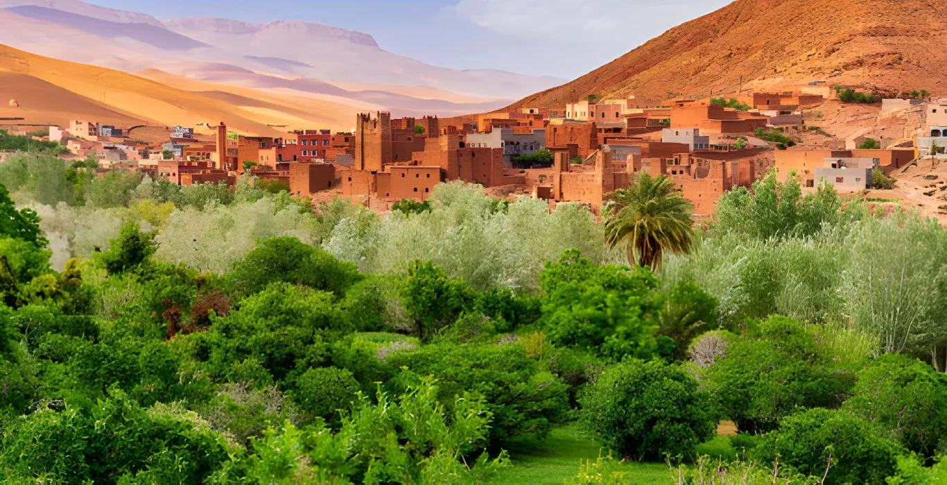 steptodown.com576908 (1)