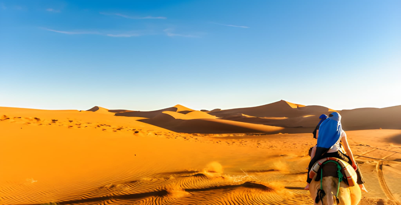 steptodown.com585866 (1)