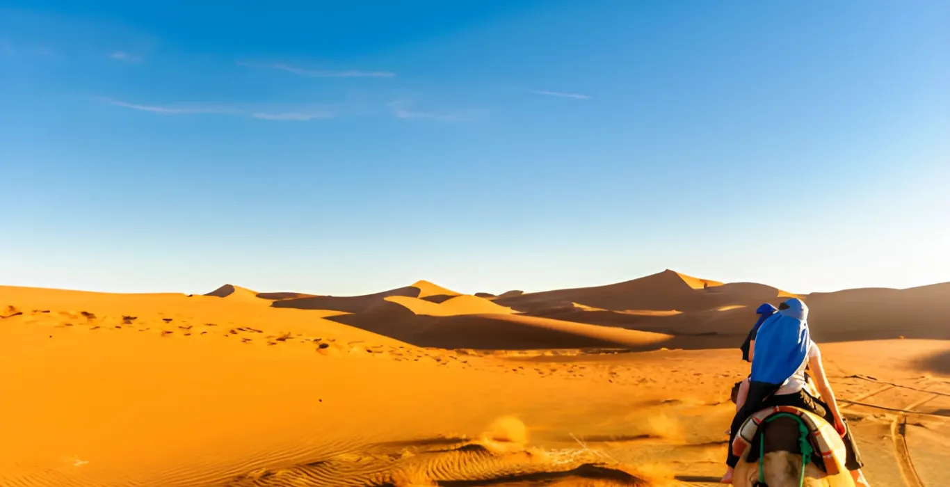 steptodown.com585866