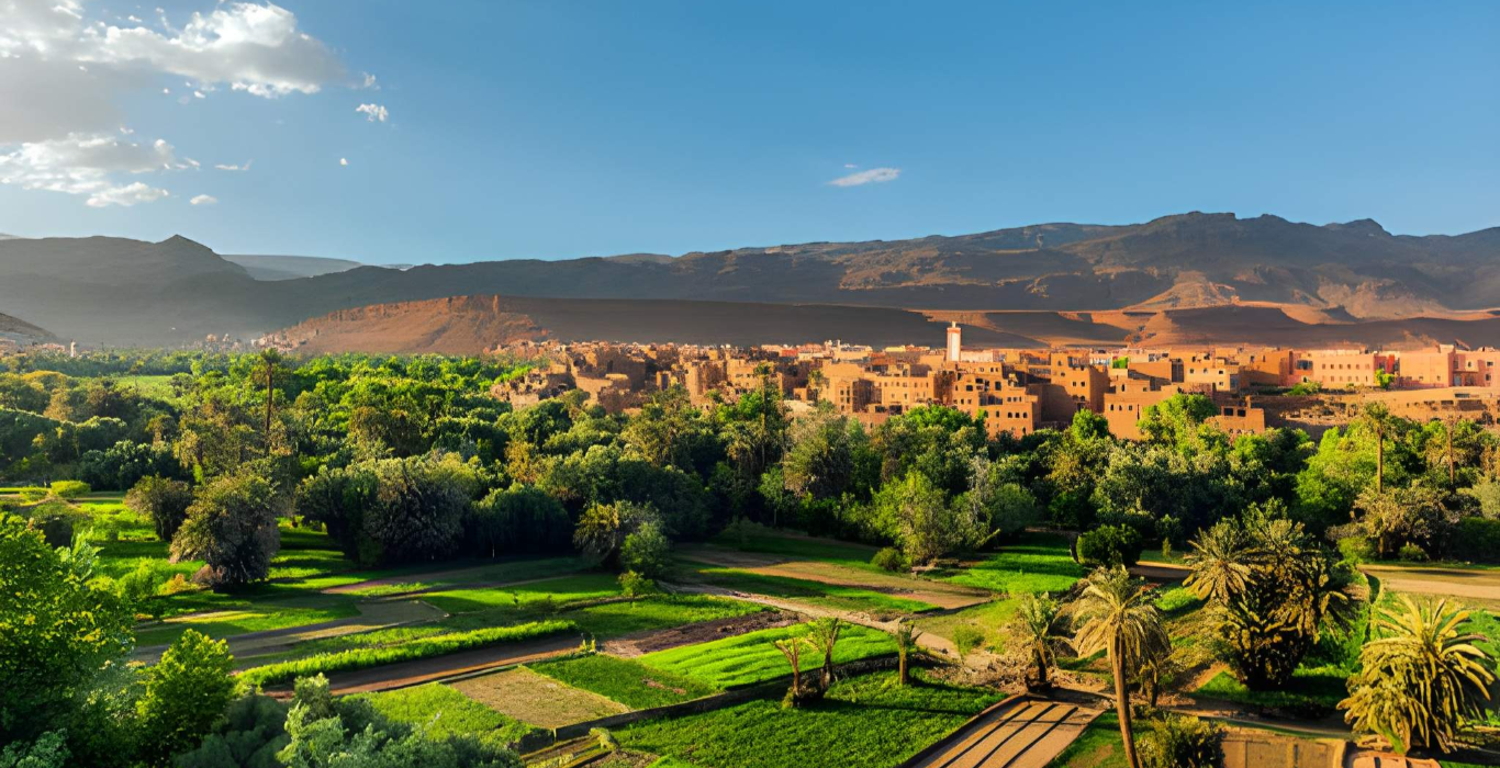 steptodown.com685515