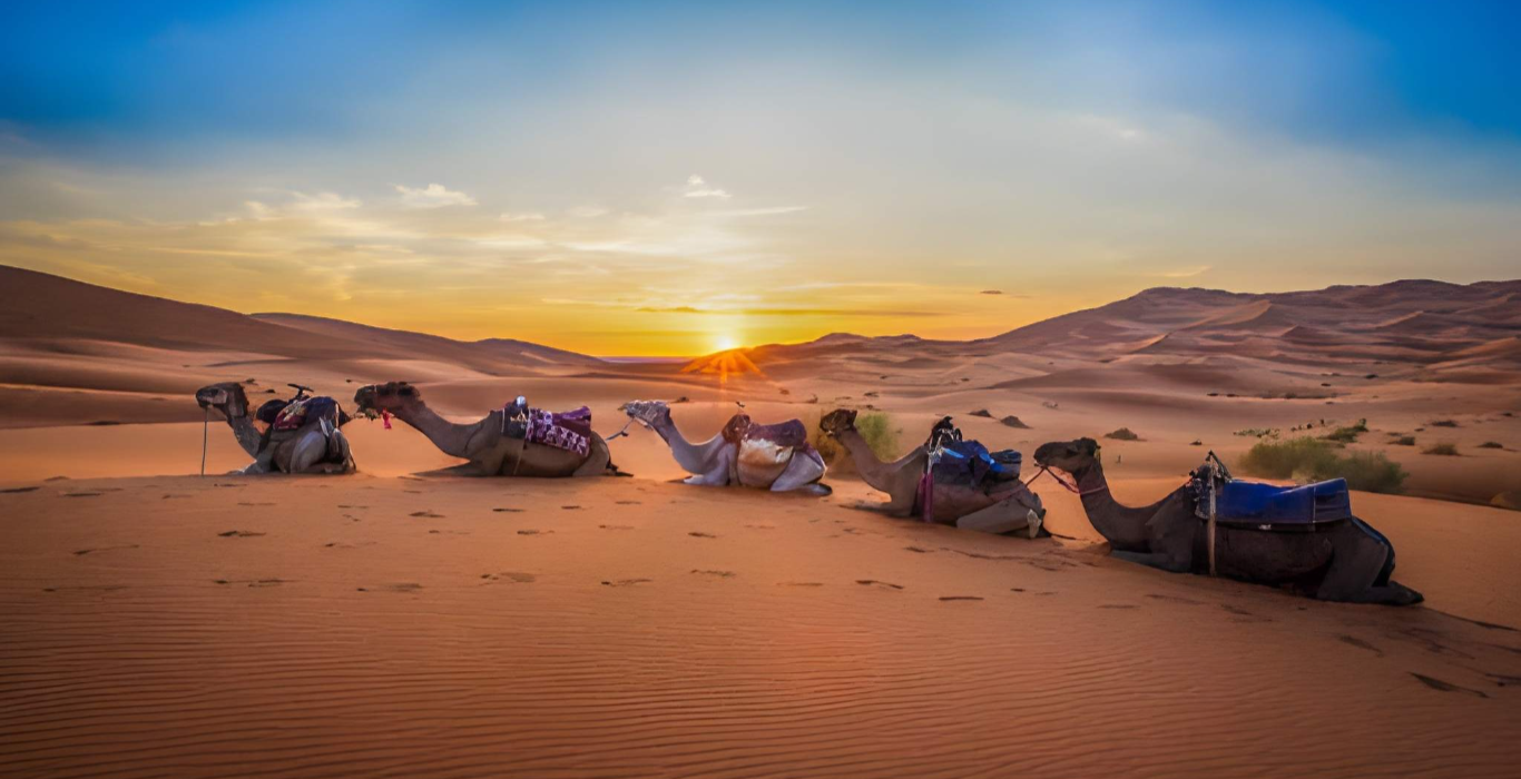 steptodown.com757278 (1)