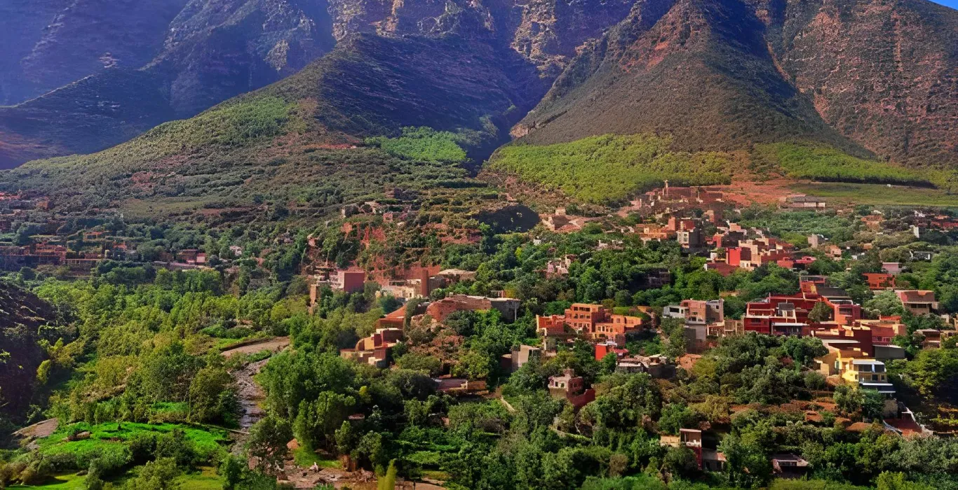 steptodown.com830213