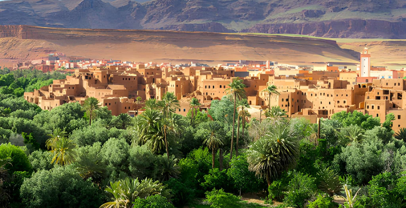 steptodown.com901996