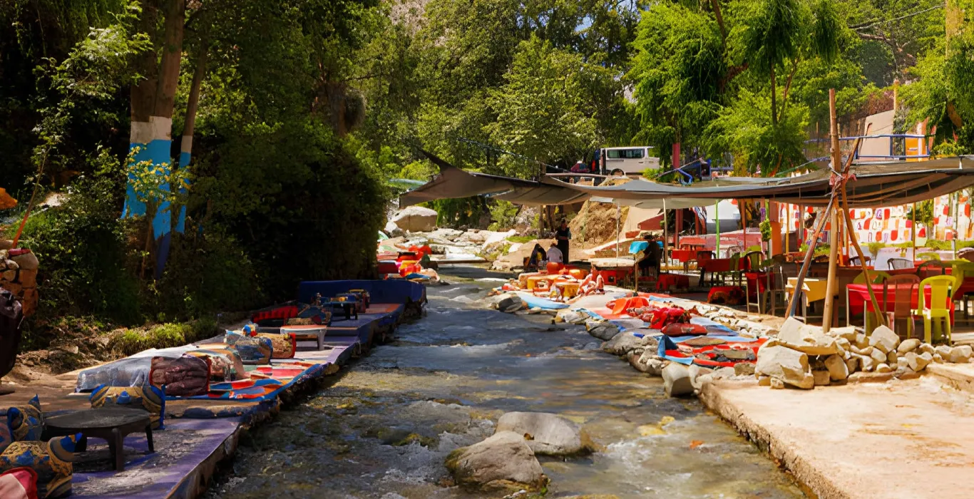 steptodown.com972411