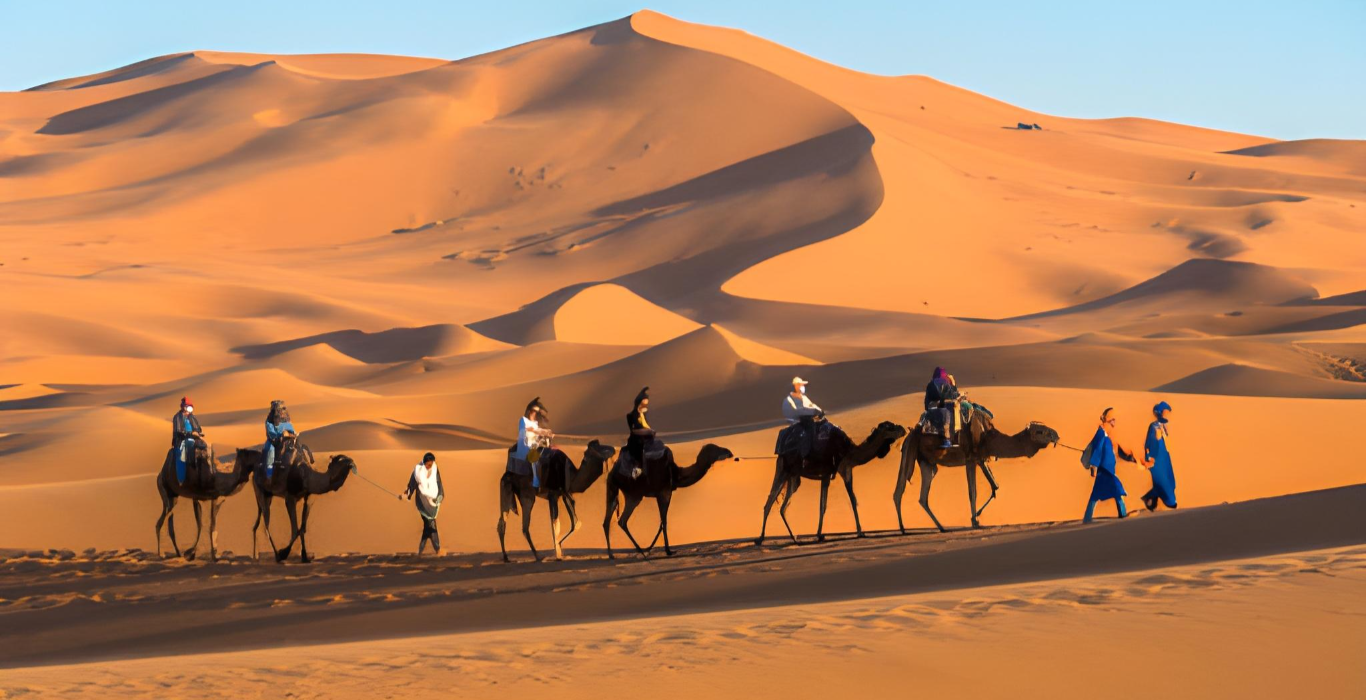 steptodown.com983608