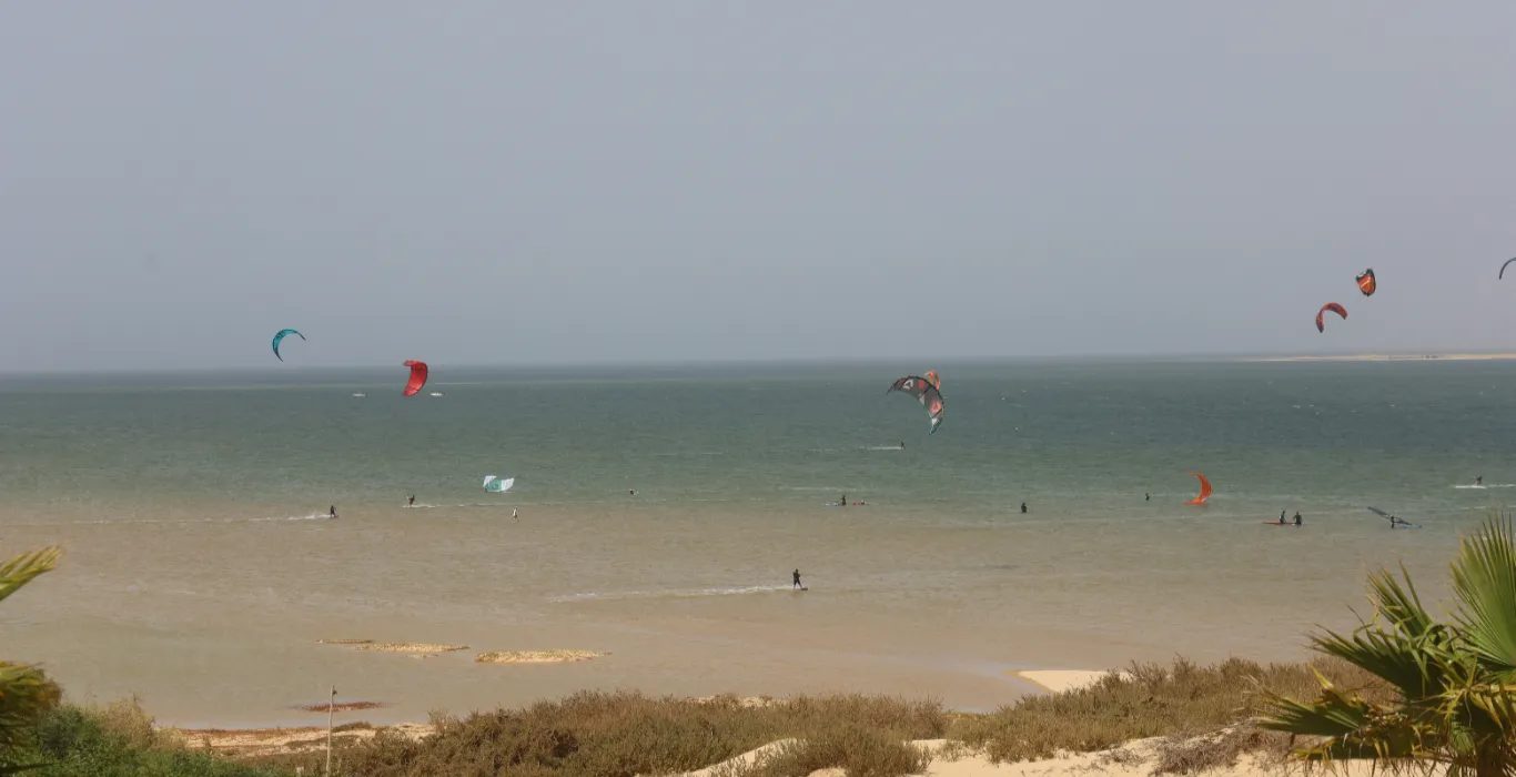 ulrico-zampa-lRyNFX0ZCZk-unsplash